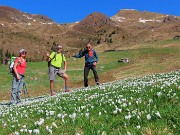 Ai Piani dell’Avaro ben fioriti di crocus – 2 maggio 2025 - FOTOGALLERY